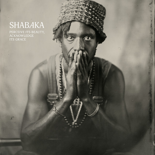 Shabaka Hutchings - Perceive Its Beauty, Acknowledge Its Grace