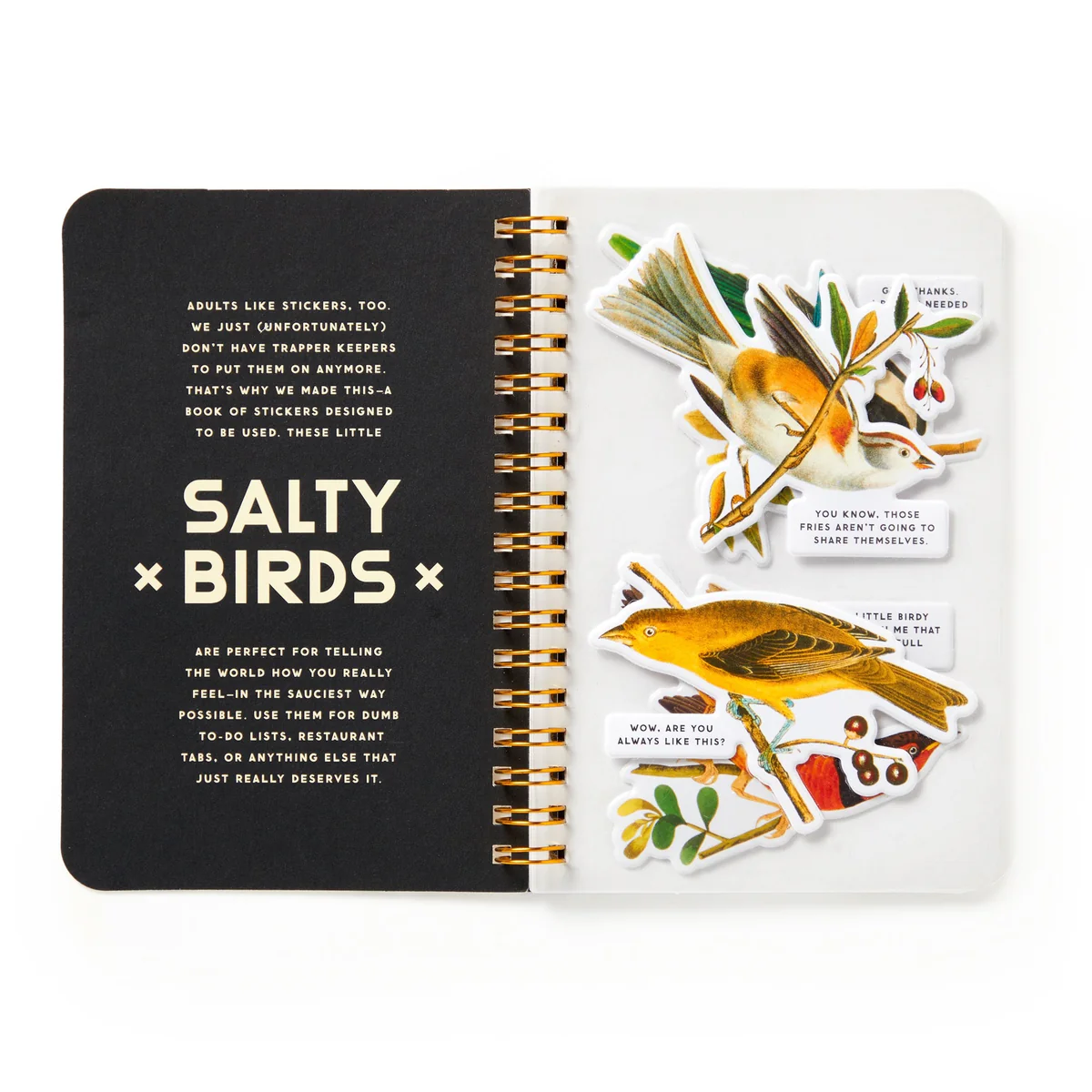 Brass Monkey - Salty Birds Sticker Book - image 2