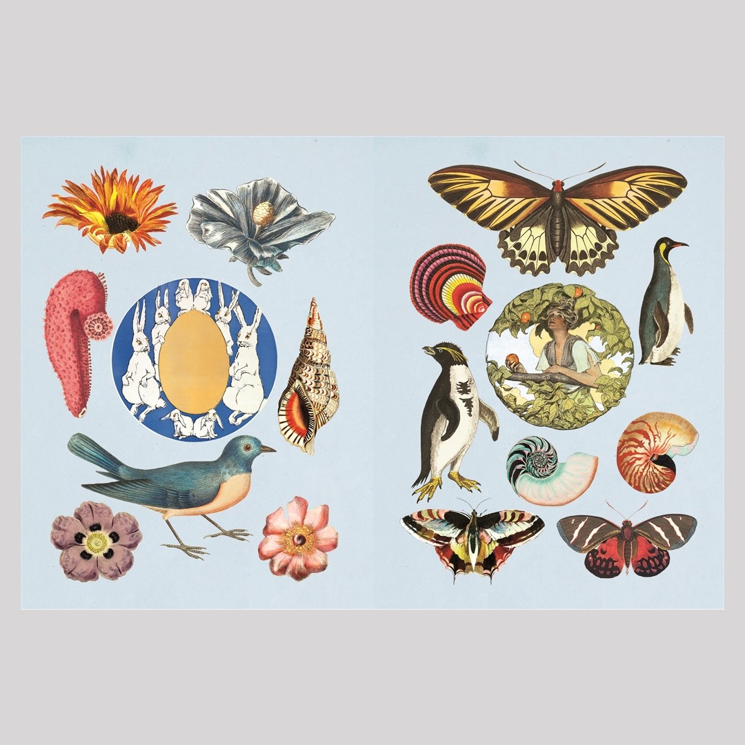New Mags - The Antiquarian Sticker Book - image 7