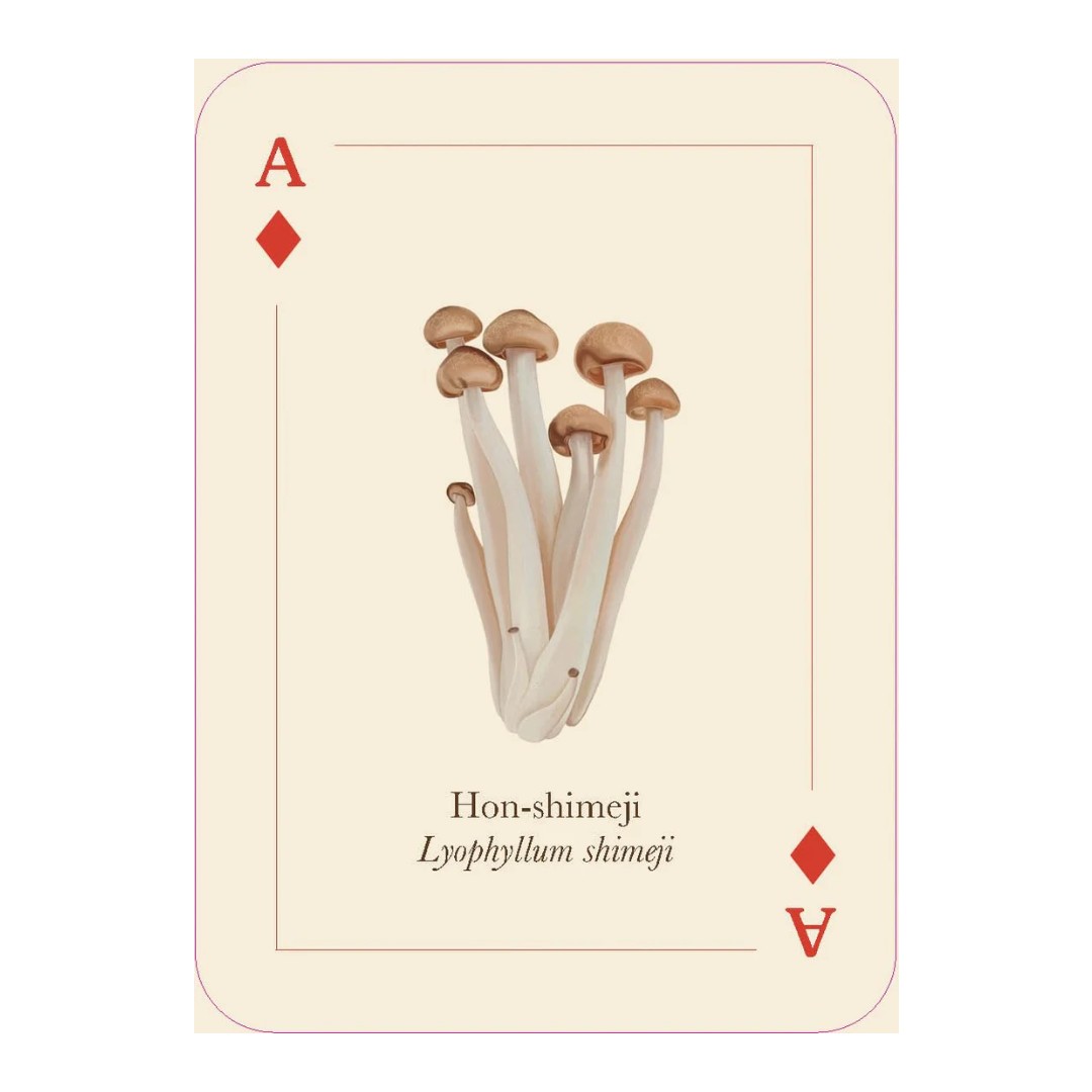 New Mags - Mushrooms Of The Wild Playing Cards - vaizdas 2