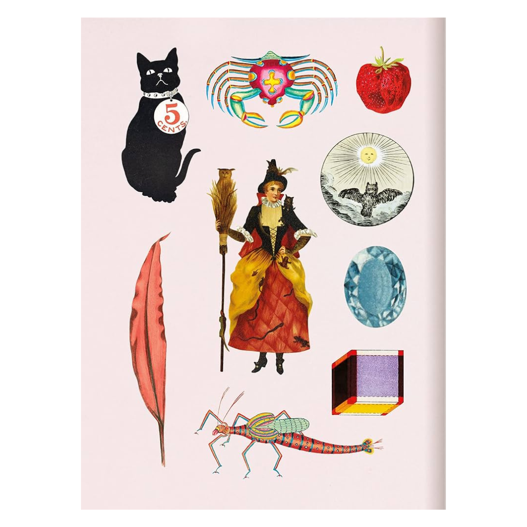 New Mags - The Antiquarian Sticker Book: Bibliophilia - image 3