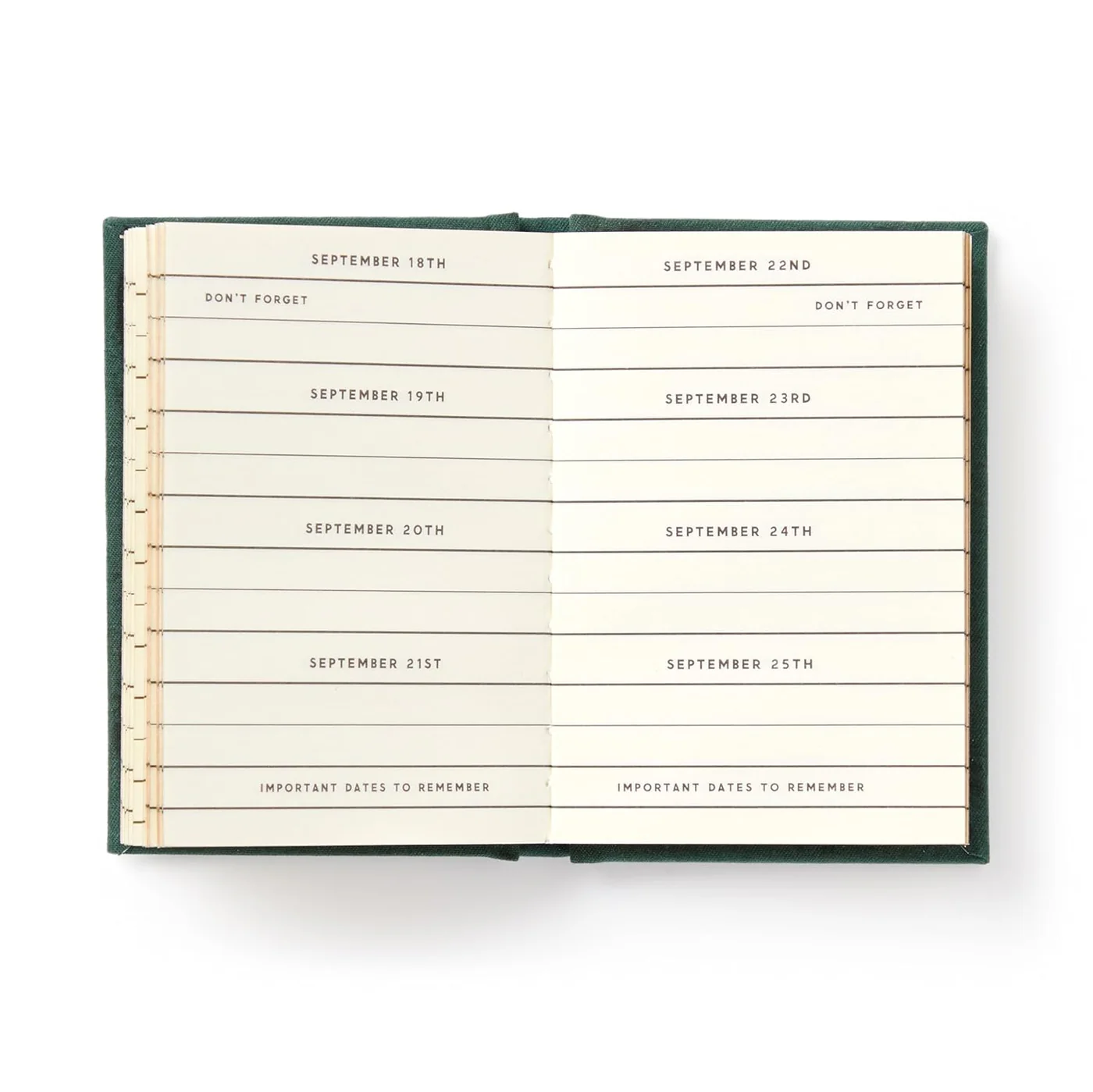 New Mags - A Tiny Diary Notebook - vaizdas 3