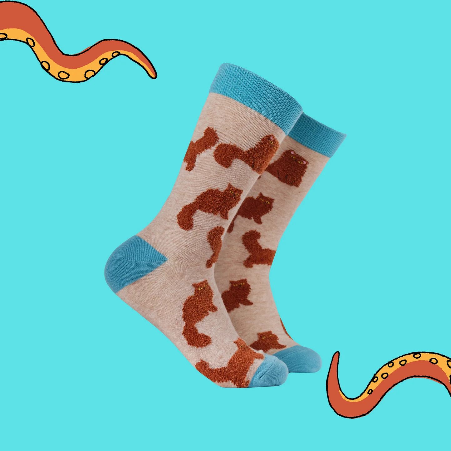 Socktopus - Fluffy Ginger Cats