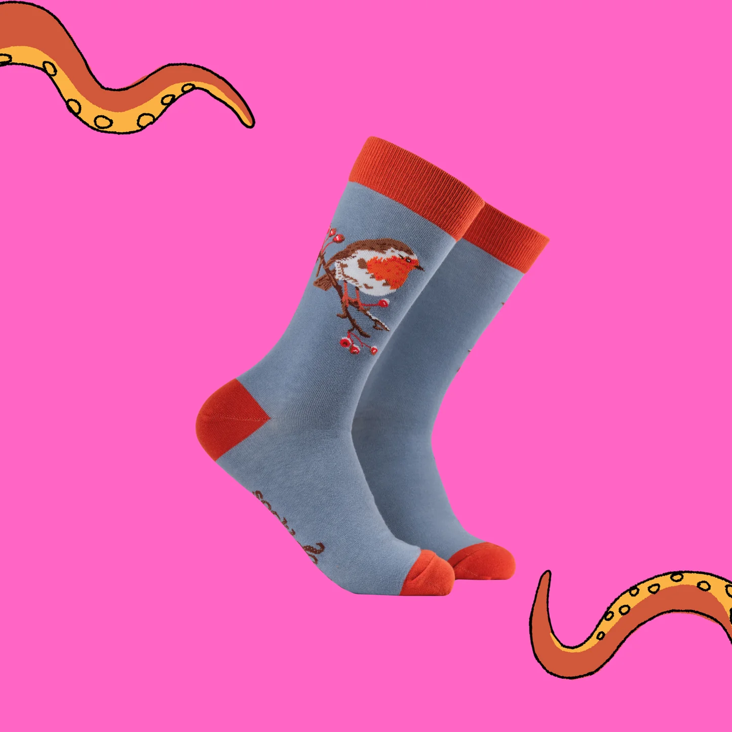 Socktopus - Robin By Robert E Fuller