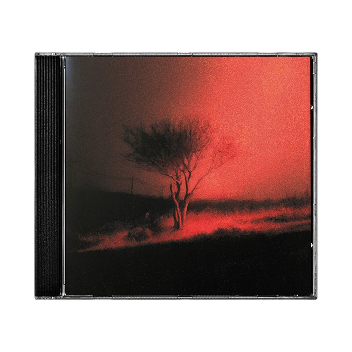 Joji - Piss In The Wind