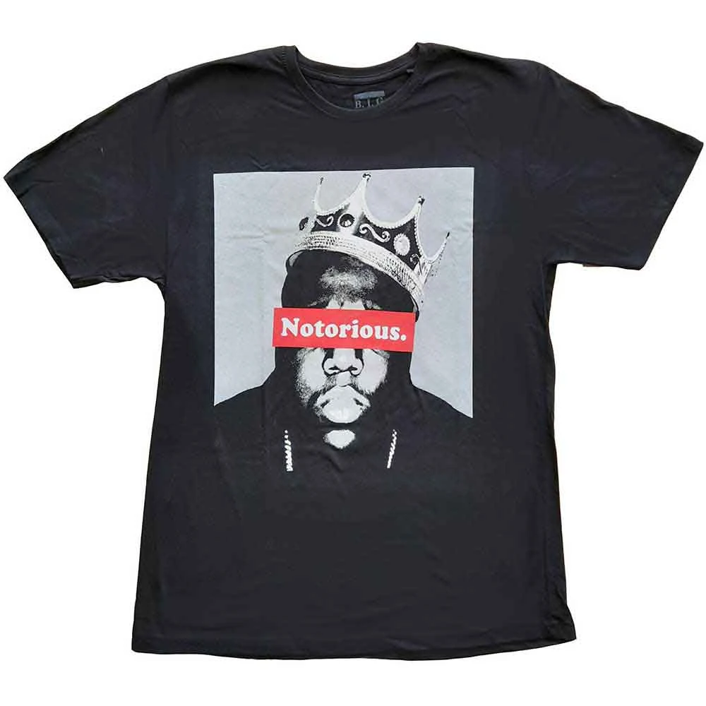 Notorious B.I.G. - Notorious