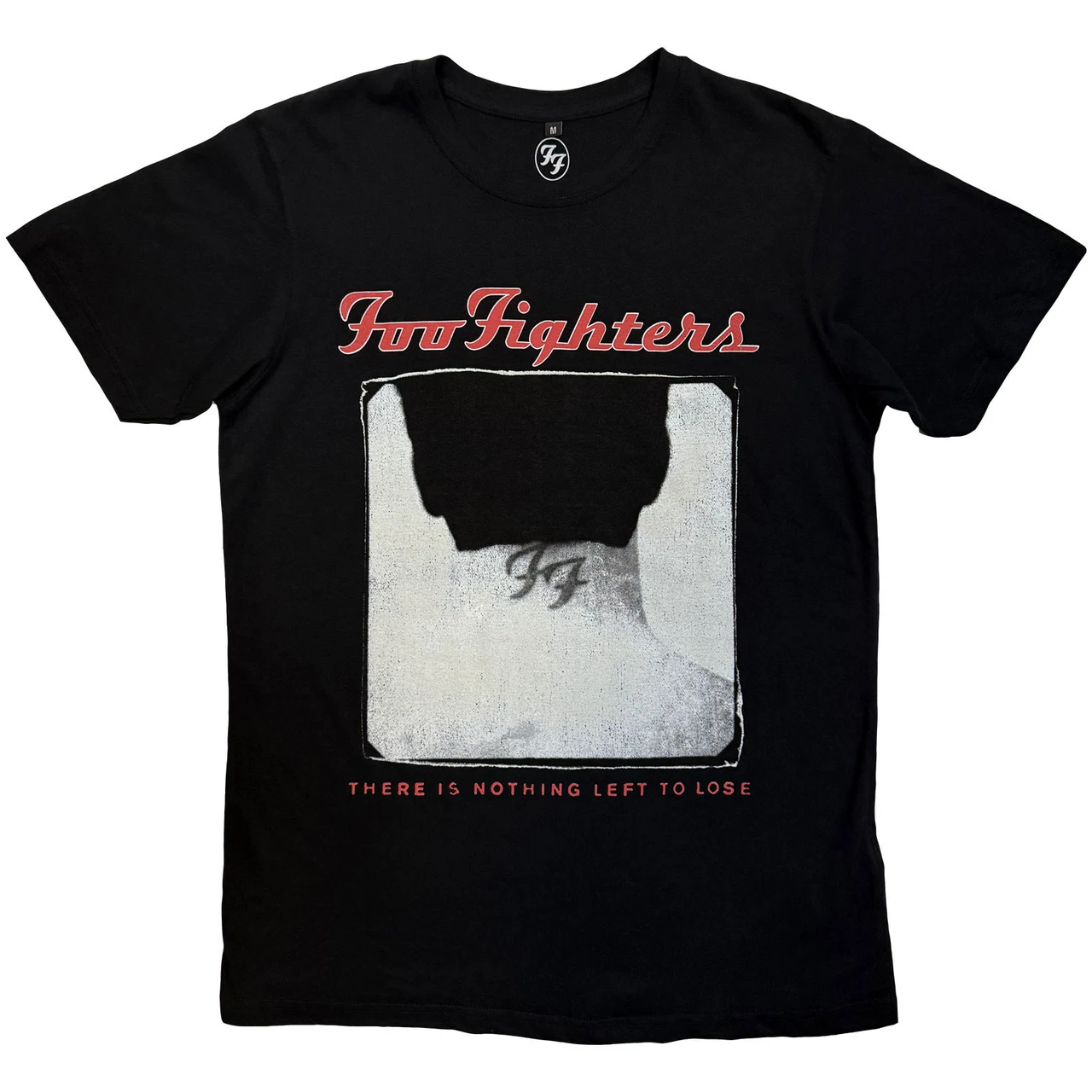 Foo Fighters - Nothing Left To Lose Tour