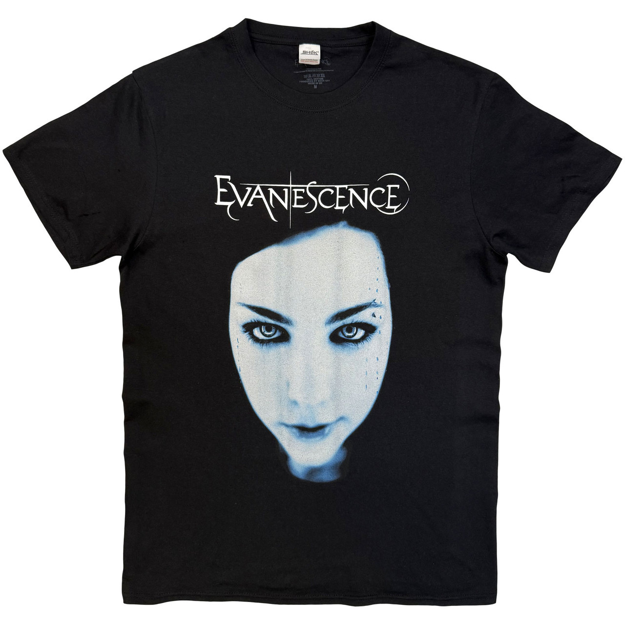 Evanescence - Fallen Face