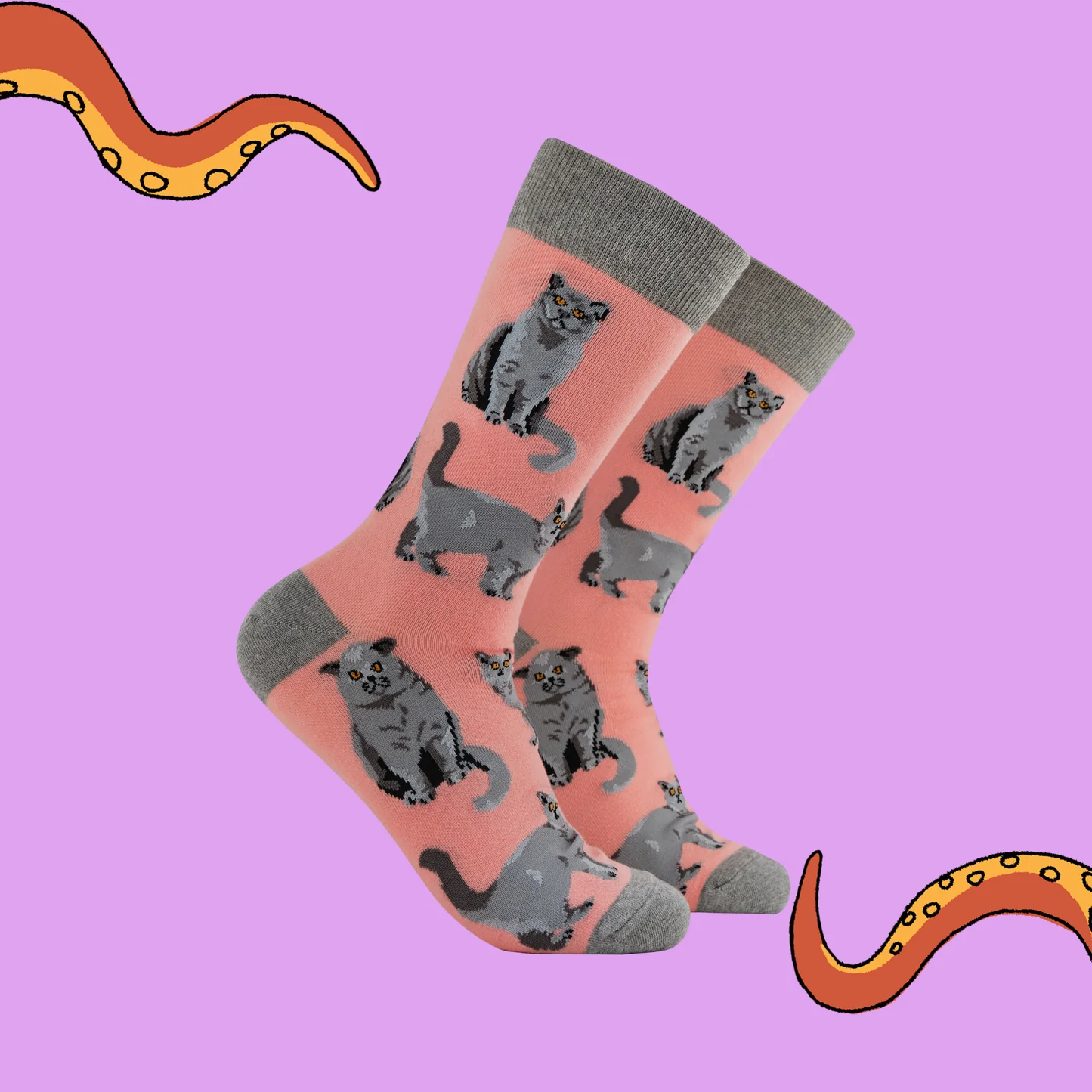 Socktopus - Short Hair Don't Care British Shorthair Cat