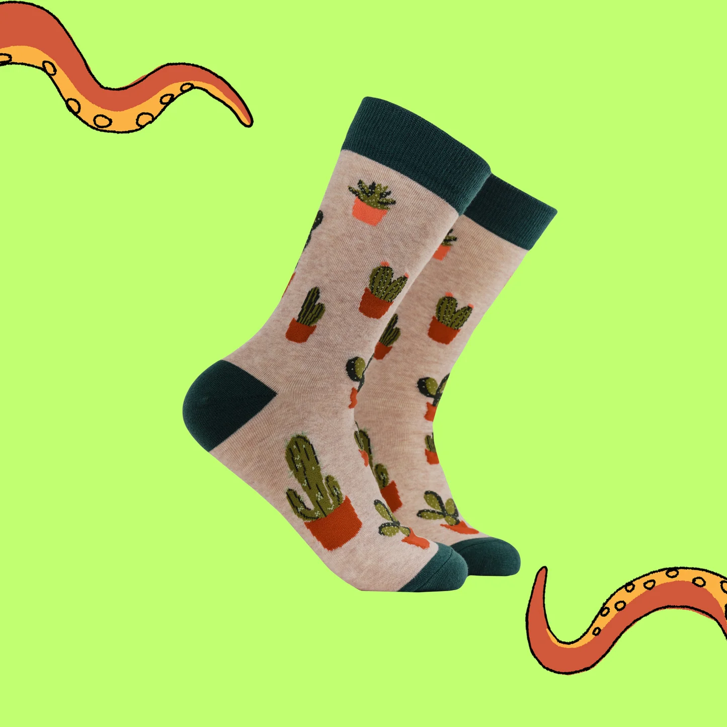 Socktopus - Cactoes