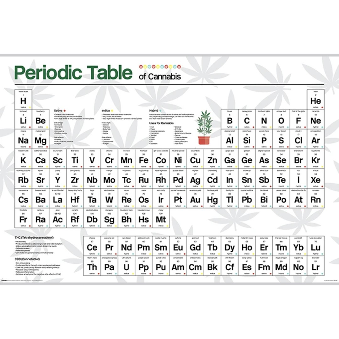Pyramid International - Cannabis Periodic Table
